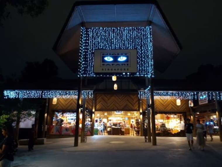Night Safari_3